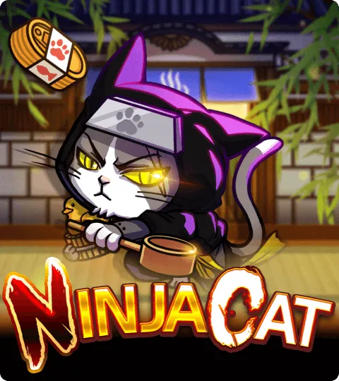 Ninja Cat